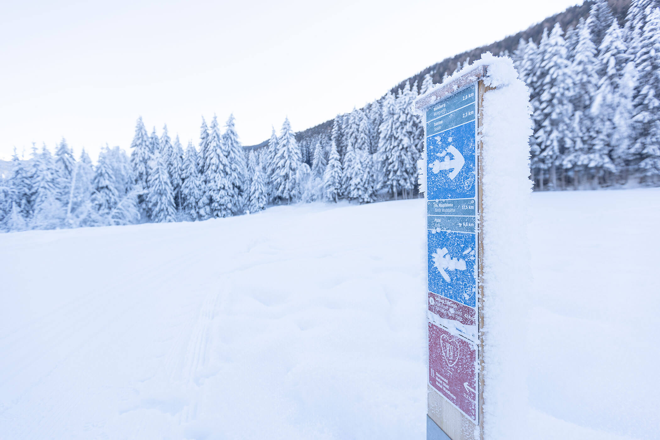 Sci a fondo Casies - Tirolerhof Tesido