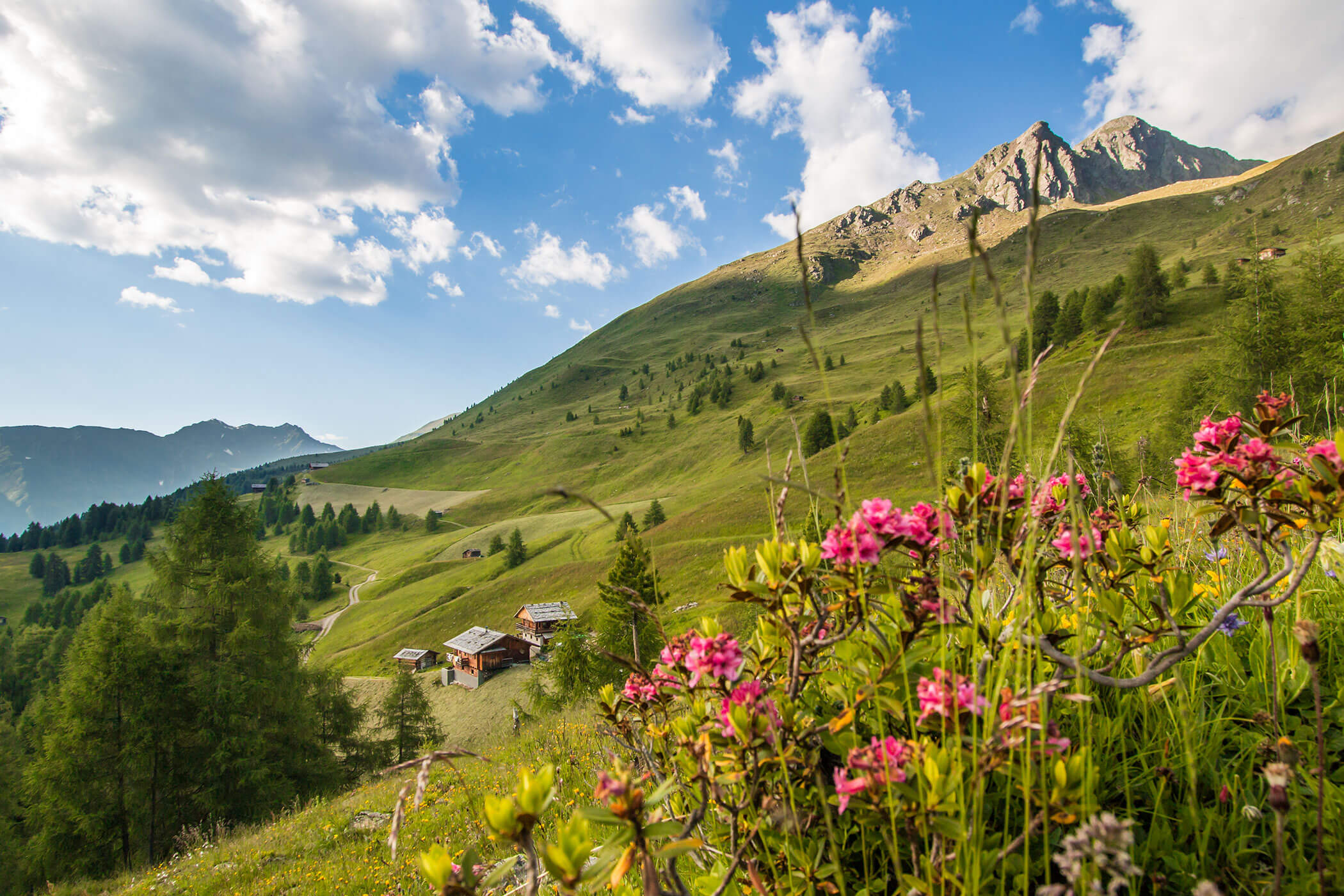 Sommer in Gsies - Tirolerhof Taisten
