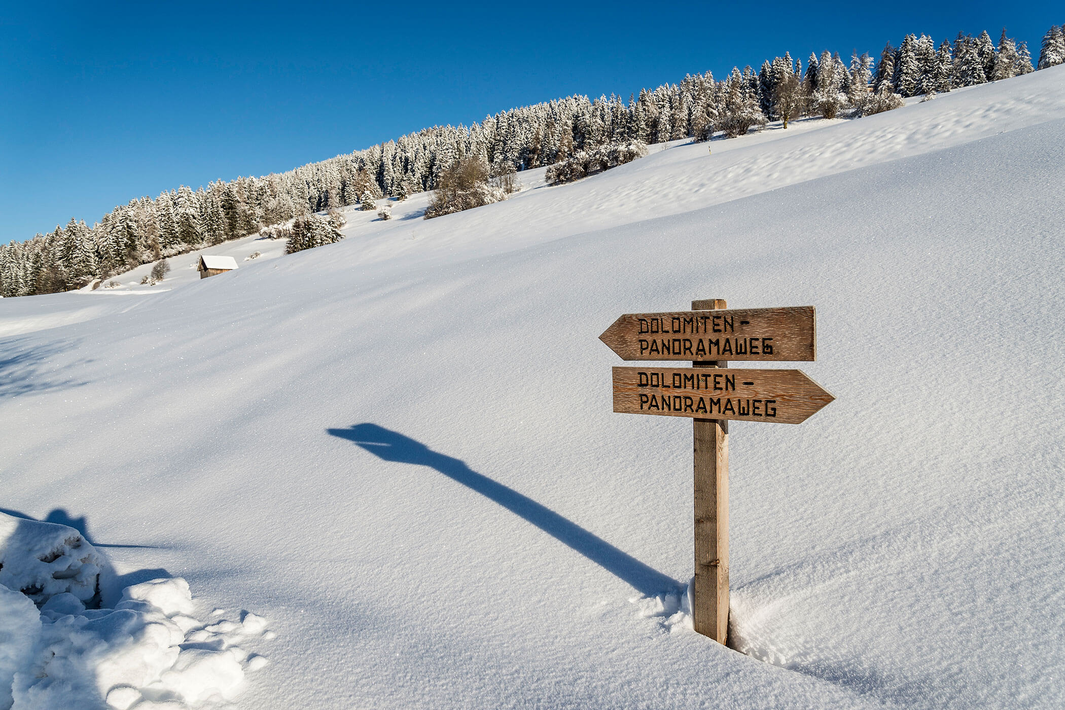 Winterwandern - Tirolerhof Taisten